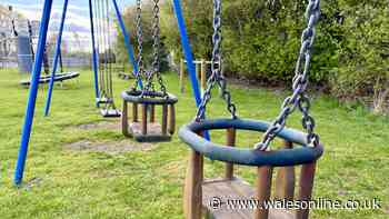 New DWP update over 'toxic' weedkiller used in school playgrounds, parks and farms