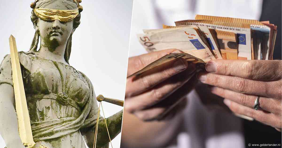 Bestuurder (34) van zorgbedrijf in Arnhem veroordeeld voor fraude met 250.000 euro subsidie