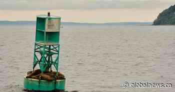 Canadian buoy found on shore of Irish island after journey across Atlantic