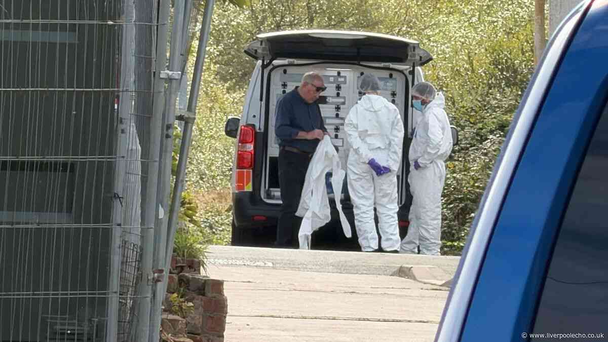 Murder probe update after body found in burning van in Prestatyn