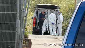 Murder probe update after body found in burning van in Prestatyn