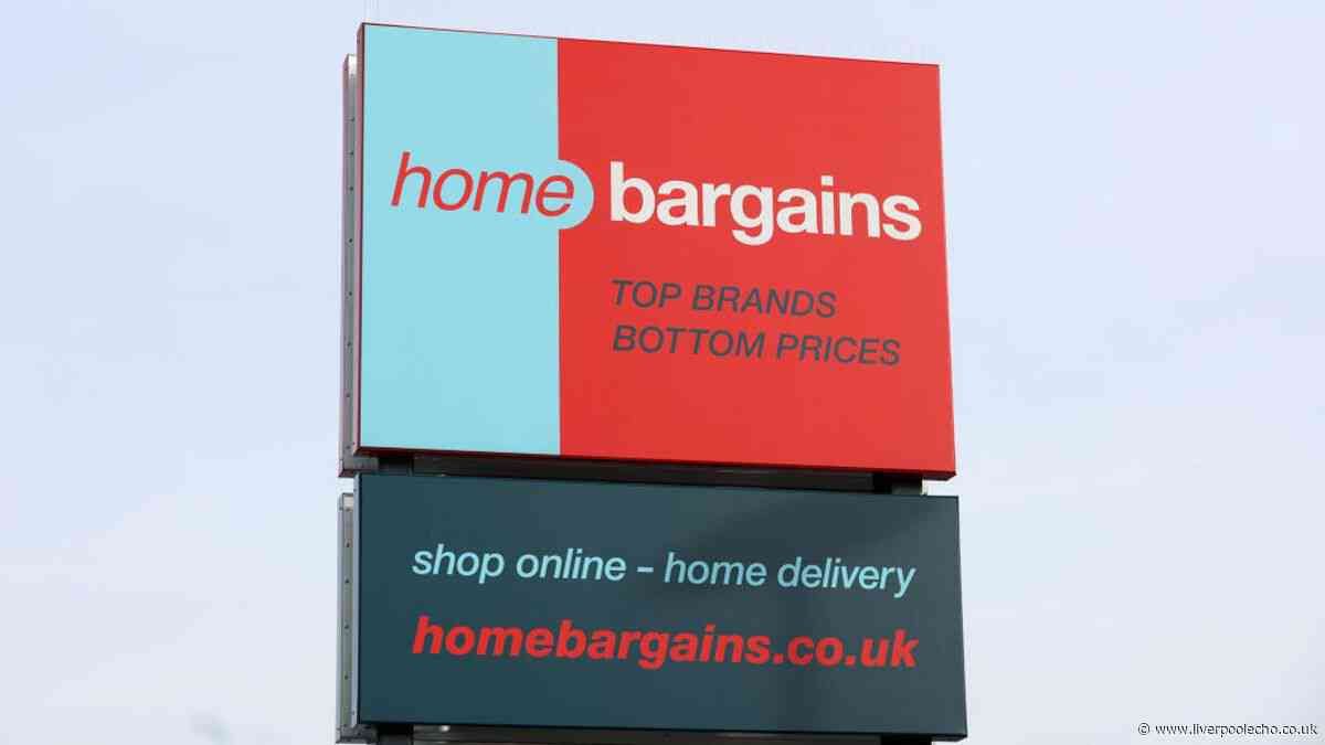 Home Bargains £50 light-up Christmas decoration makes a statement at the front of the house