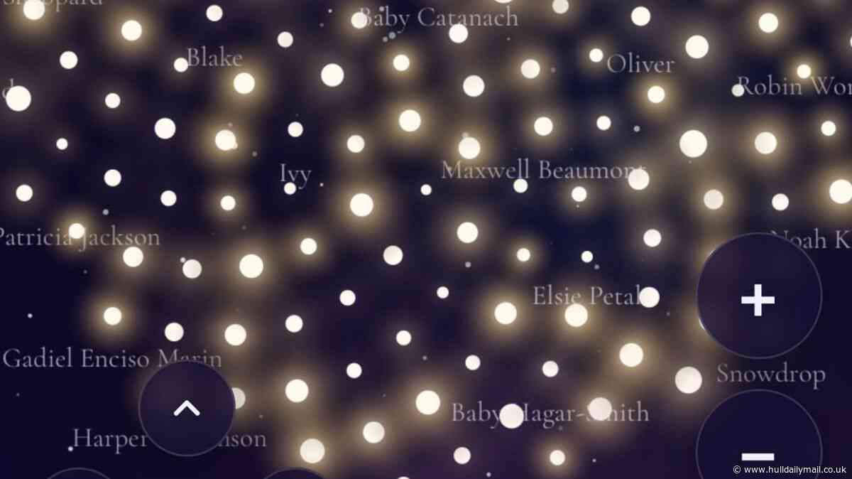 'A sky full of love' - how a Hull charity is helping bereaved families for baby loss week