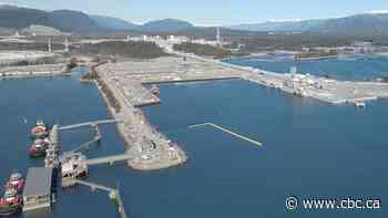 LNG Canada fined $50K over underwater noise monitoring during tug terminal construction