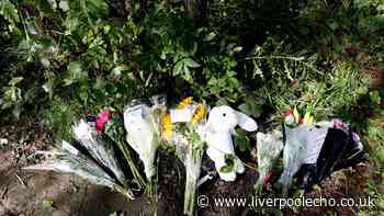 Three-month-old girl who died 'camping with family' at nature reserve named