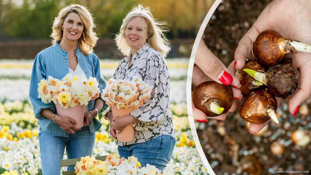 Nu is dé tijd om bloembollen te planten! Zo doe je dat het beste en heb je het hele jaar door een fleurige tuin