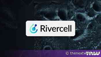 Rivercell raises $25M to build an AI model of how cells respond to drugs