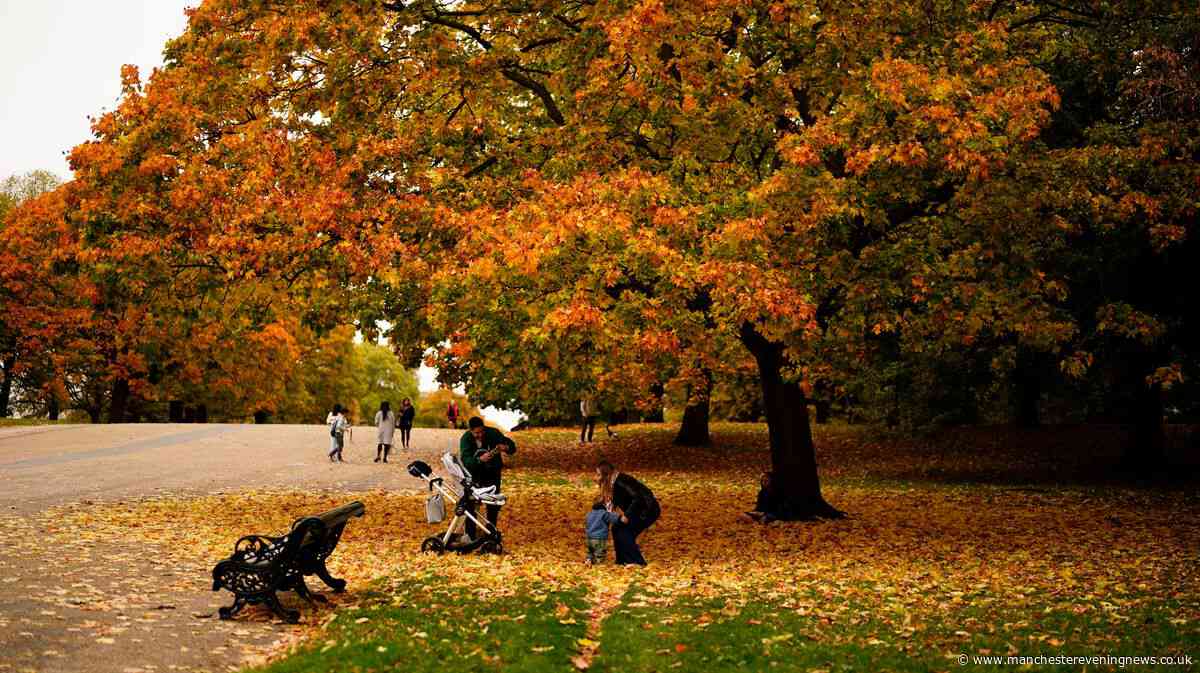 Met Office issues 'quite warm' verdict as temperatures to soar as high as 20C