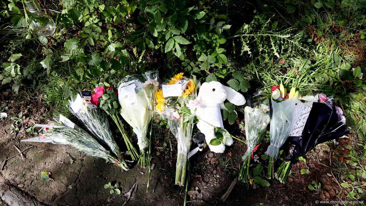 Three-month-old baby who died 'camping with family' at nature reserve named
