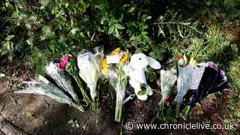 Three-month-old baby who died 'camping with family' at nature reserve named