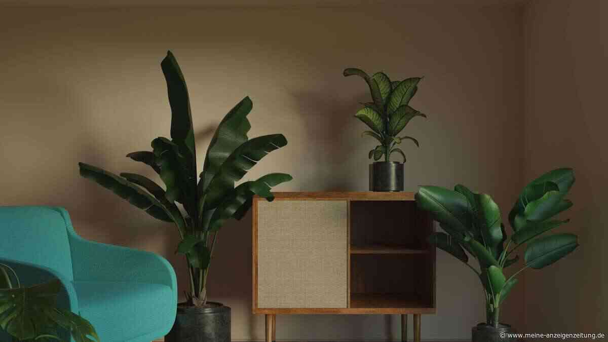 Dieser 60er-Trend war jahrelang verpönt – jetzt ist er überall im Wohnzimmer zurück