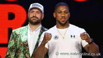 Fury vs Joshua ticket prices confirmed for Cardiff fight as warning issued