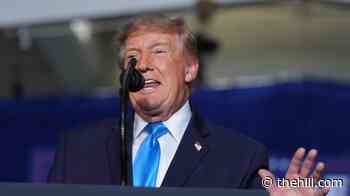 Former Trump adviser: Remarks about LA, San Diego 'clumsy, sloppy'
