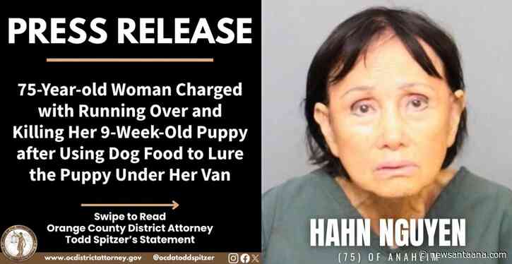 Anaheim Woman, 75, charged with felony animal cruelty after fatally luring puppy under a van