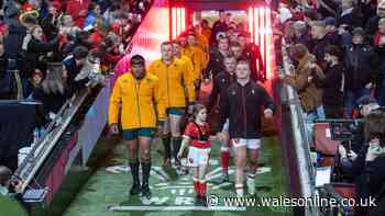 WRU sell Wales v Australia tickets for just £10 in bid to boost attendances