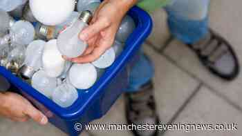 Binman explains rules on whether light bulbs should go in general waste or recycling bins
