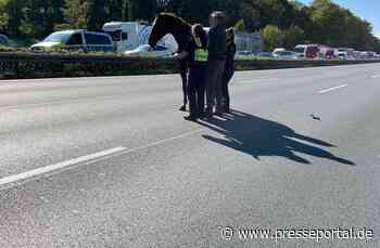 POL-DO: Im Geistergalopp über die A2