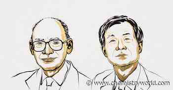 Reactions that demonstrate how homochirality can emerge take chemistry Nobel prize