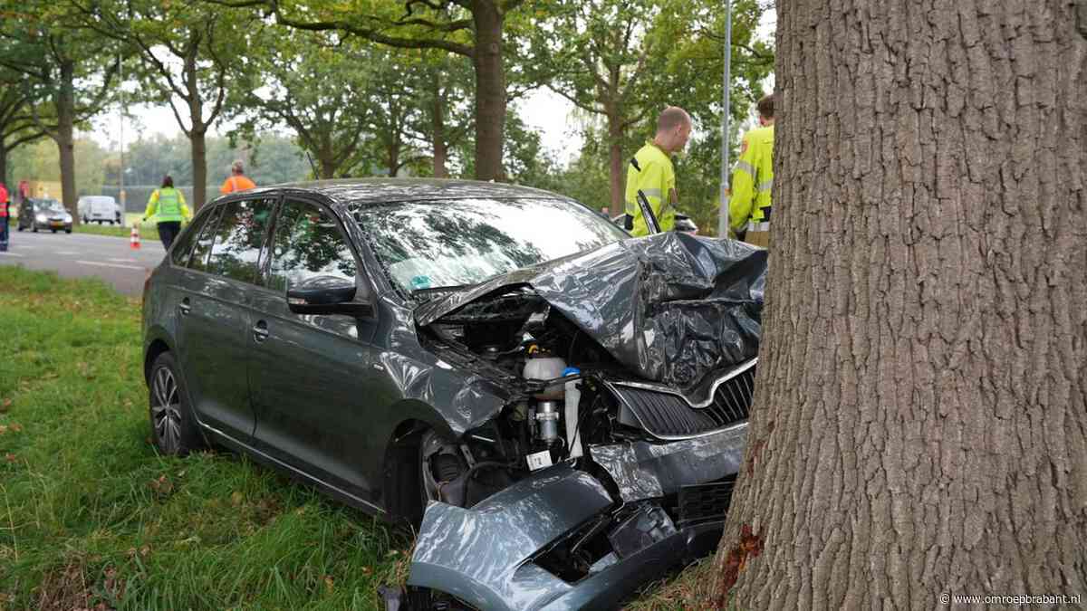 Vrouw (73) ernstig gewond na botsing tegen boom op N65 bij Vught