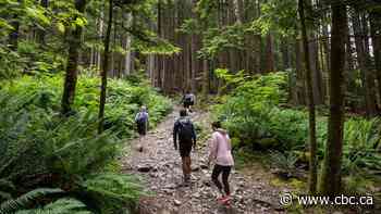 Popular Grouse Grind trail to close for 4 weeks for seasonal maintenance