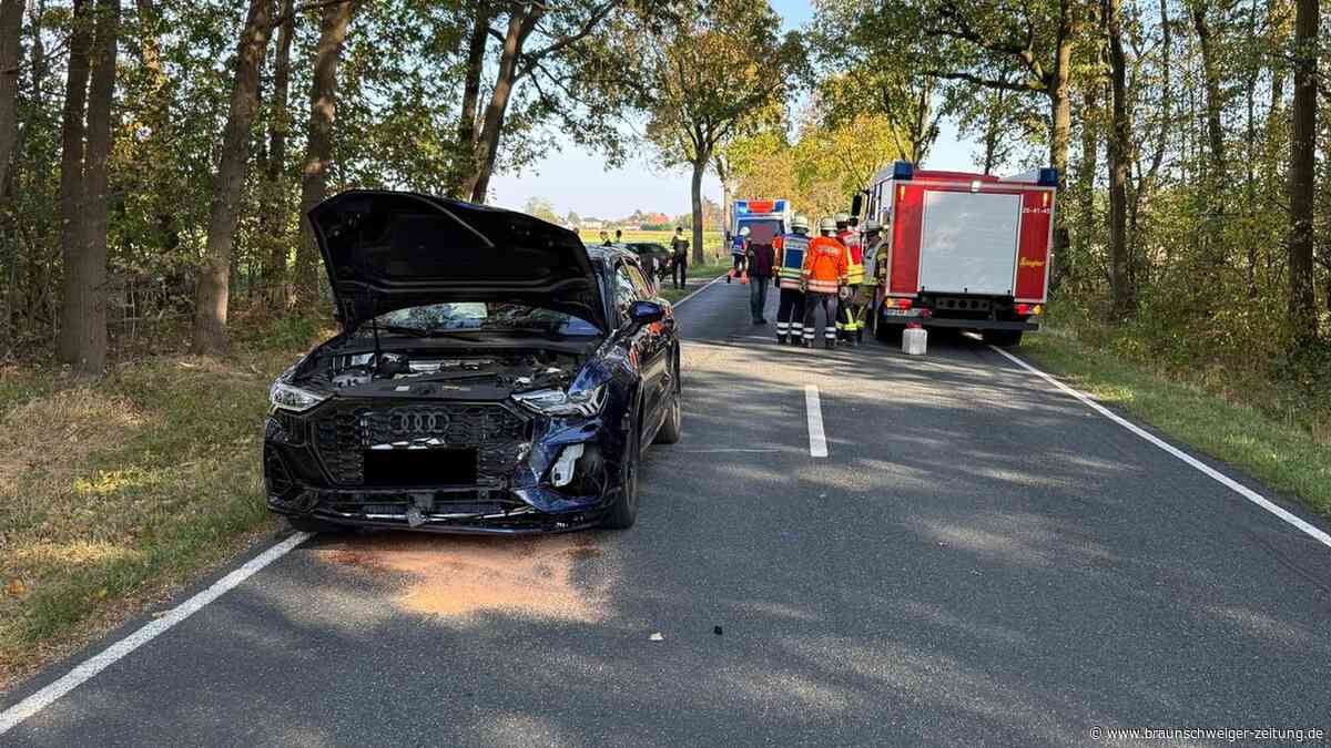 Unfall auf L320 bei Ribbesbüttel: Zwei Personen werden leicht verletzt