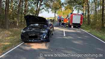 Unfall auf L320 bei Ribbesbüttel: Zwei Personen werden leicht verletzt