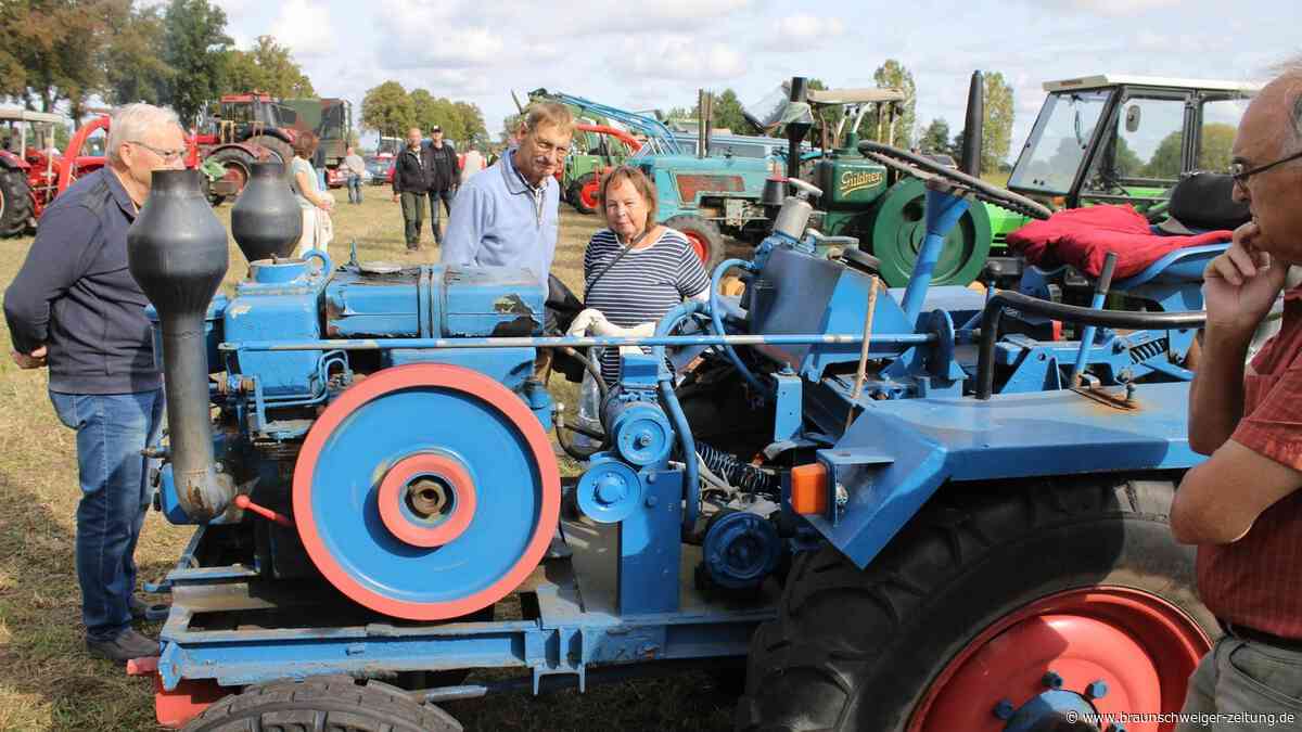 Porsche, Schlüter, Isetta: 150 Oldtimer an der Wassermühle Wahrenholz