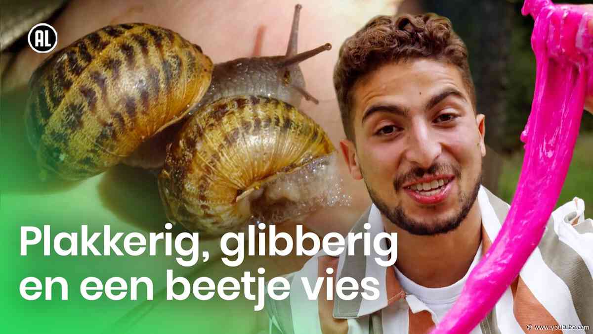 Wat is slijm?