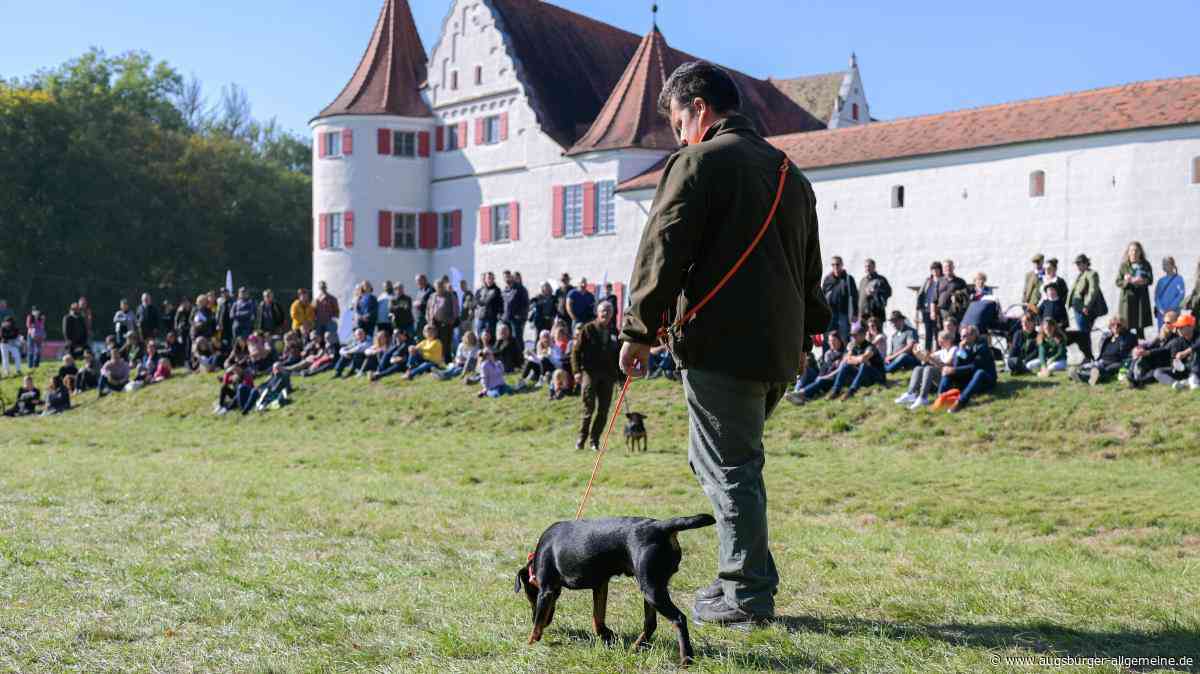 „Riesen Faktor“ für Neuburg: So profitiert die Stadt von der Jagdmesse