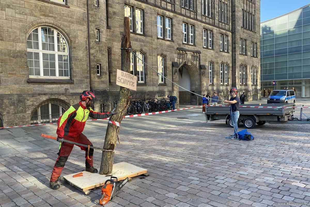 Hand- statt Kettensäge: Chemnitzer Umweltschützer dürfen nur leise protestieren