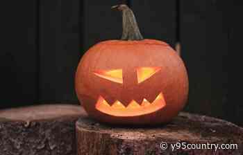 Free Scares And Treats For The Casper Community On Halloween