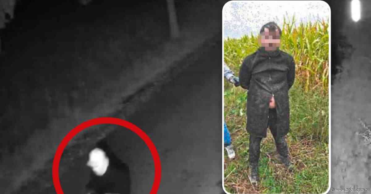 Doorbraak in dossier-Overasselt: camerabeelden en schoenen linken ‘De Tsjetsjeen’ aan moord op beveiliger
