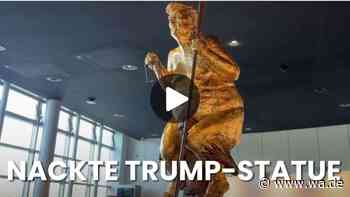 Nackte Trump-Statue sorgt im EU-Parlament für Aufsehen