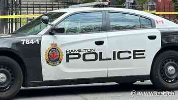 Teens charged in hate-motivated assault, Hamilton police say