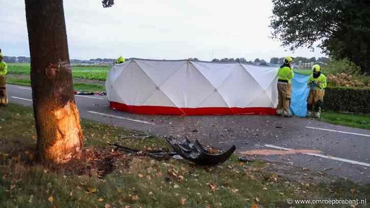 Automobilist ernstig gewond na botsing tegen boom, traumahelikopter ingezet