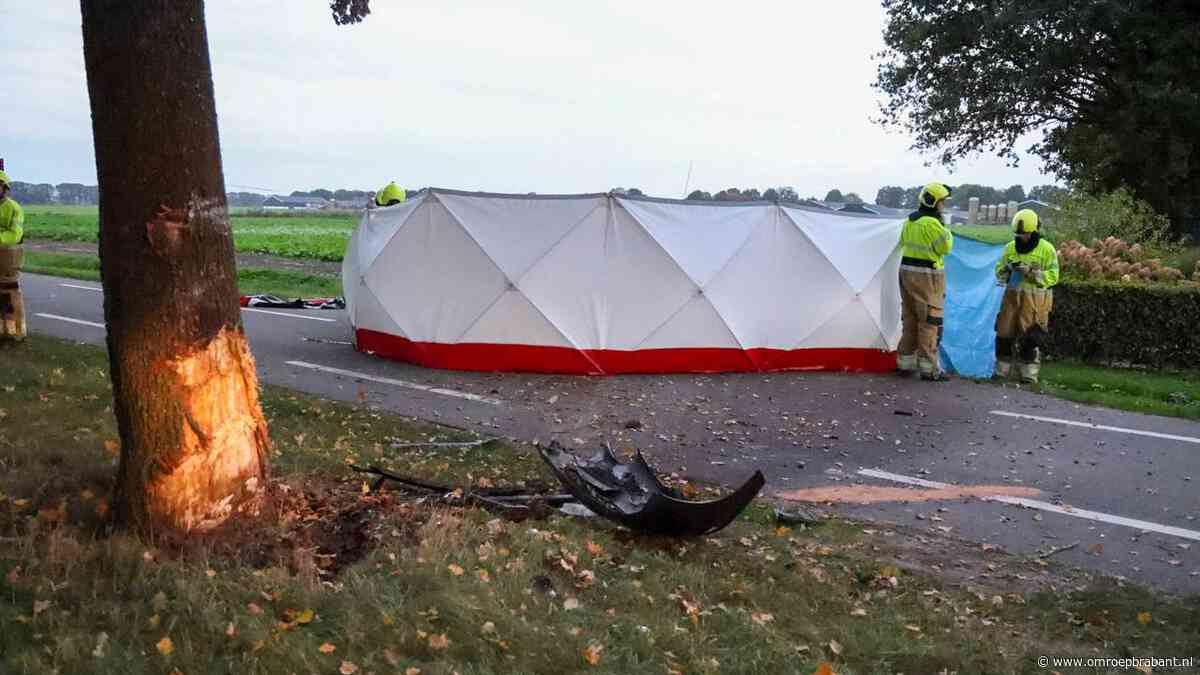 Automobilist ernstig gewond na botsing tegen boom, traumahelikopter ingezet