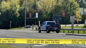 Police search for driver, witnesses after fatal hit and run in Vaughan