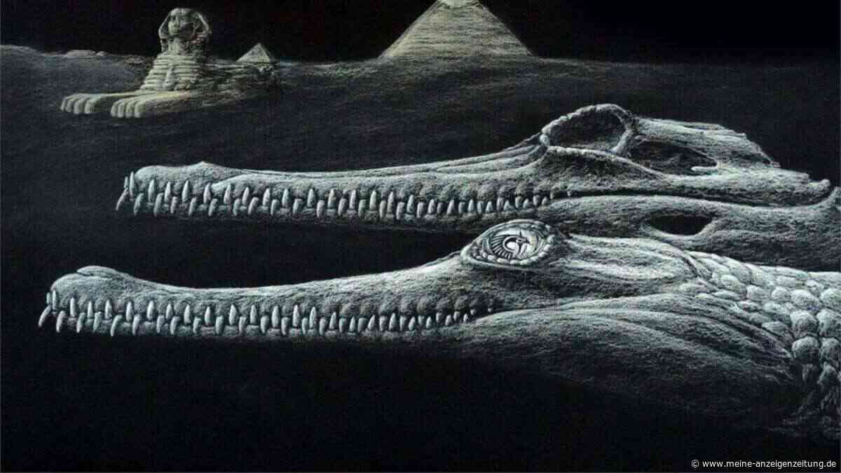 Fast 100 Jahre lang falsch bestimmt: CT-Scan enthüllt neue Krokodilart aus dem alten Ägypten