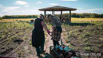 Onion Lake Cree Nation's community garden celebrates successful harvest