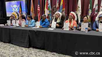 Saskatoon Tribal Council inks $269M long-term child welfare deal with Ottawa