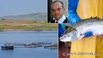 JOHN MacLEOD: A £1billion trade... and the 'silver tourist' we islanders link to the circle of life