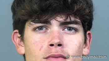 Florida DUI driver's mugshot sets internet ablaze as commenters claim he's better-looking than Clavicular