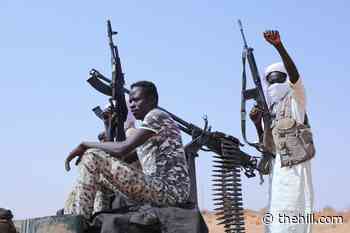US shelves Sudan arms embargo proposal amid UN Security Council divisions
