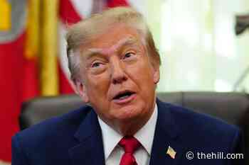 Trump: I could have done 'bad things' to Hillary Clinton, Biden, Obama