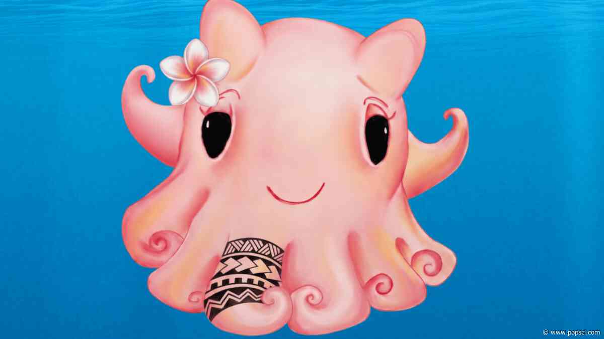 Pink, pretty, and protective. A dumbo octopus is here with a message from the deep-sea.