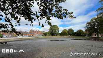 Concern as historic pond remains a puddle despite rain