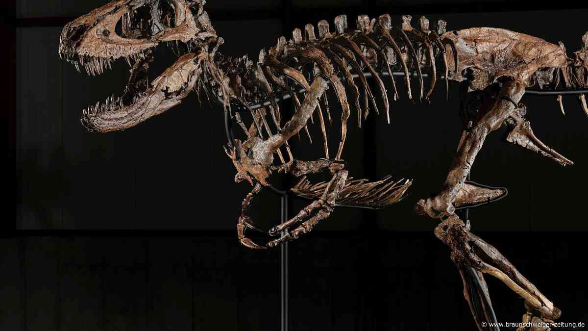 Dino „Jodi“ unter dem Hammer: Neuer Name – und plötzlich Millionen weniger wert?