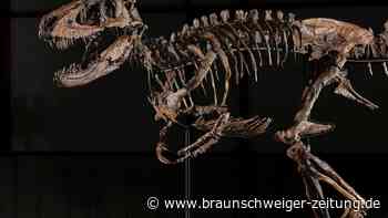 Dino „Jodi“ unter dem Hammer: Neuer Name – und plötzlich Millionen weniger wert?