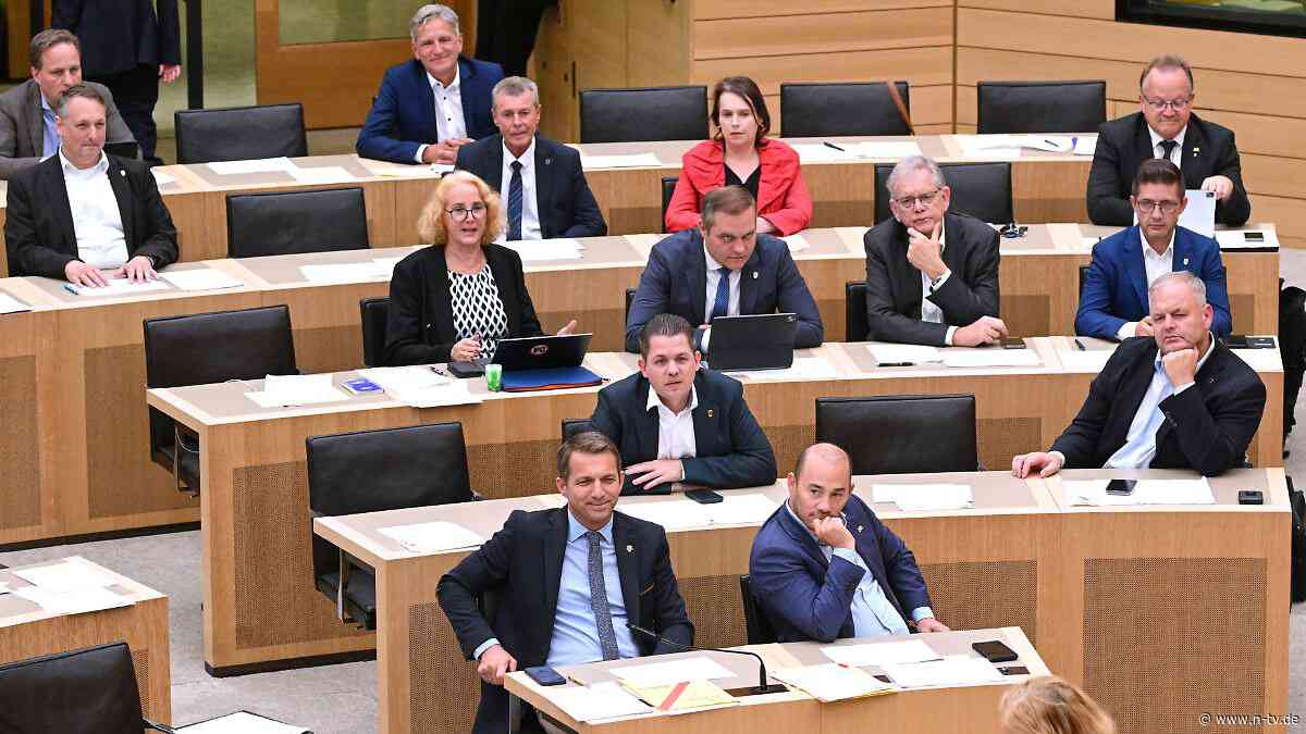 Debakel im Landtag: Baden-Württembergs AfD scheitert reihenweise in Gremienwahlen