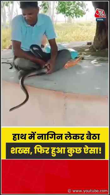 नागिन के साथ शख्स की हरकत देख उड़ जाएंगे होश! | #Snake #ViralShorts #Wildlife